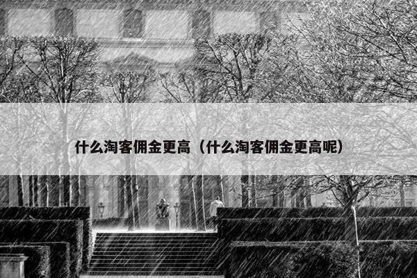 什么淘客佣金更高（什么淘客佣金更高呢）