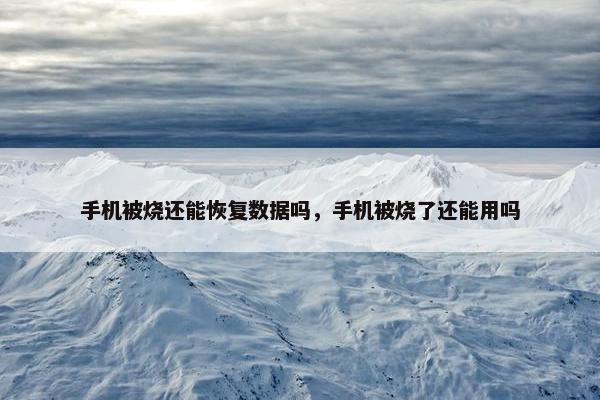手机被烧还能恢复数据吗，手机被烧了还能用吗