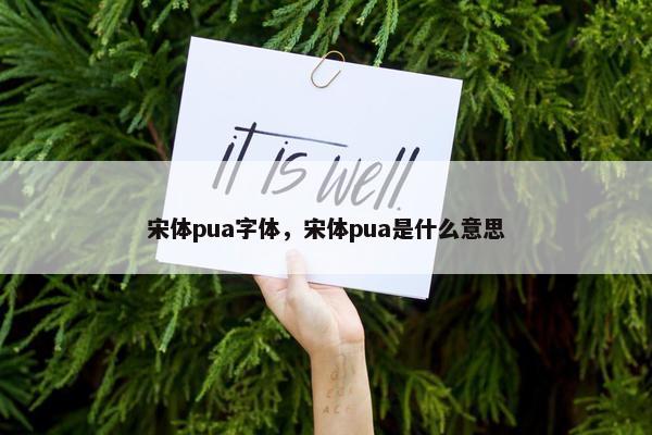 宋体pua字体，宋体pua是什么意思