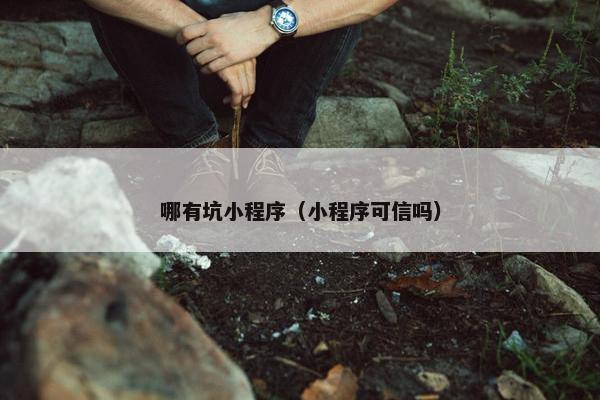 哪有坑小程序（小程序可信吗）
