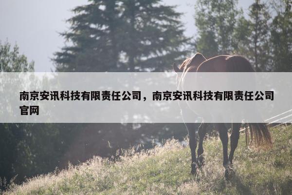 南京安讯科技有限责任公司，南京安讯科技有限责任公司官网