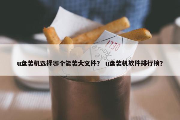 u盘装机选择哪个能装大文件？ u盘装机软件排行榜？