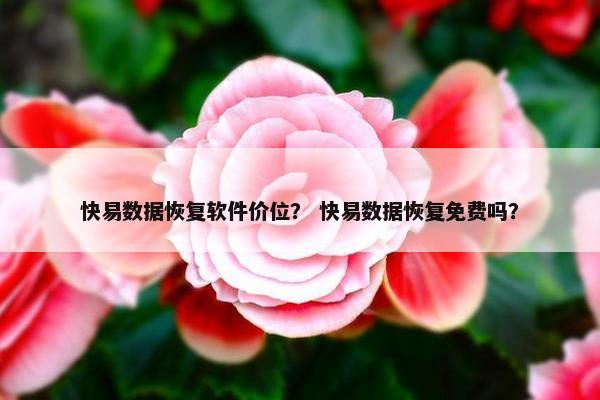 快易数据恢复软件价位？ 快易数据恢复免费吗？