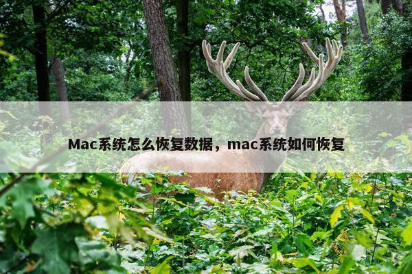 Mac系统怎么恢复数据，mac系统如何恢复