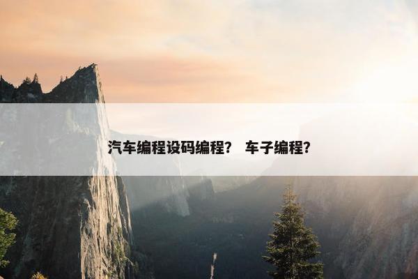 汽车编程设码编程？ 车子编程？
