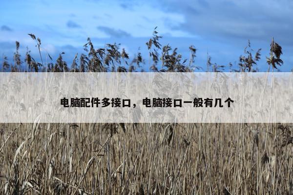 电脑配件多接口，电脑接口一般有几个