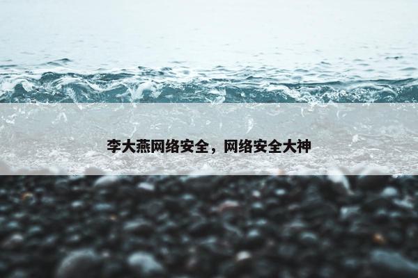 李大燕网络安全，网络安全大神
