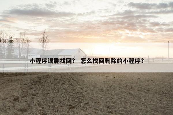 小程序误删找回？ 怎么找回删除的小程序？