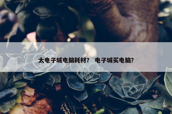 太电子城电脑耗材？ 电子城买电脑？