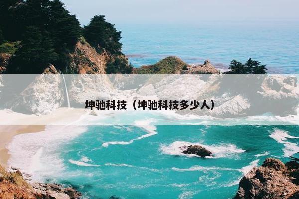 坤驰科技（坤驰科技多少人）