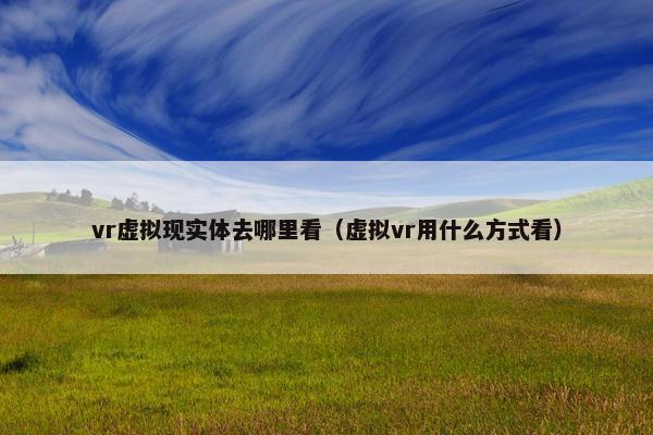 vr虚拟现实体去哪里看（虚拟vr用什么方式看）