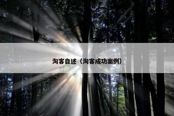 淘客自述（淘客成功案例）