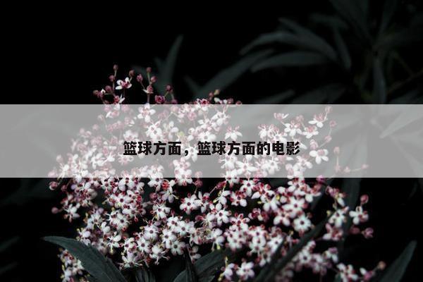 篮球方面，篮球方面的电影