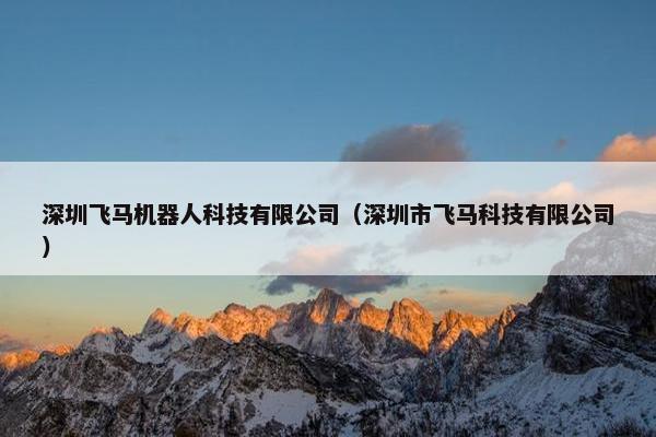 深圳飞马机器人科技有限公司（深圳市飞马科技有限公司）