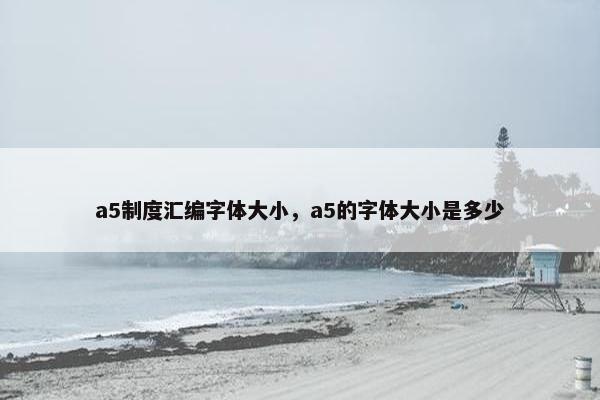 a5制度汇编字体大小，a5的字体大小是多少