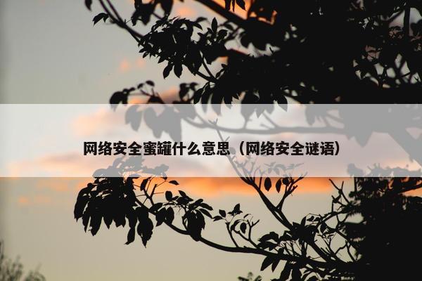 网络安全蜜罐什么意思（网络安全谜语）