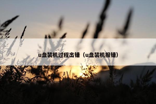 u盘装机过程出错（u盘装机报错）