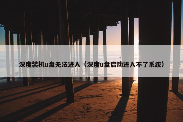 深度装机u盘无法进入（深度u盘启动进入不了系统）
