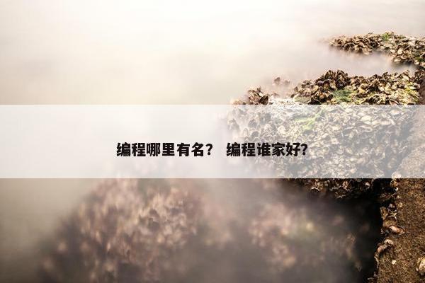编程哪里有名？ 编程谁家好？