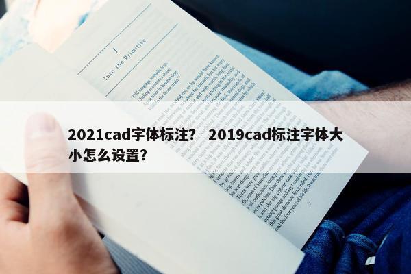 2021cad字体标注？ 2019cad标注字体大小怎么设置？