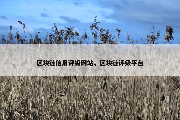 区块链信用评级网站，区块链评级平台