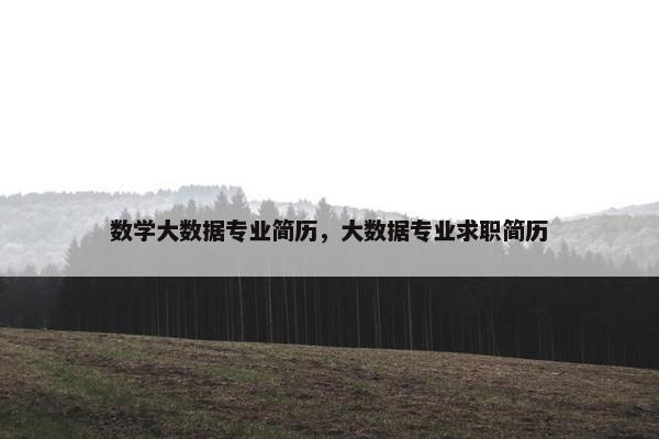 数学大数据专业简历，大数据专业求职简历