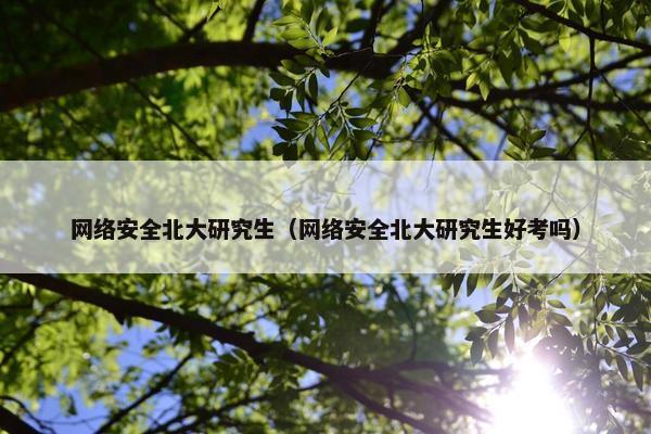 网络安全北大研究生（网络安全北大研究生好考吗）