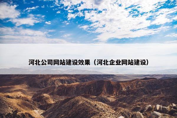 河北公司网站建设效果（河北企业网站建设）