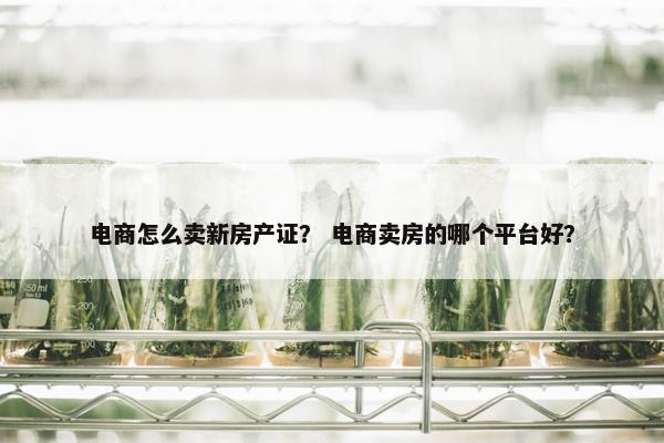 电商怎么卖新房产证？ 电商卖房的哪个平台好？