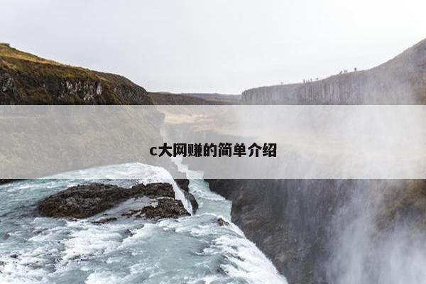 c大网赚的简单介绍