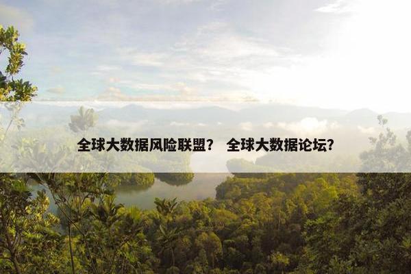全球大数据风险联盟？ 全球大数据论坛？