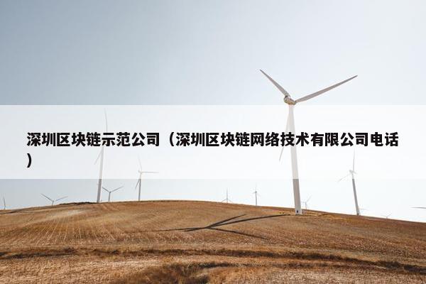 深圳区块链示范公司（深圳区块链网络技术有限公司电话）