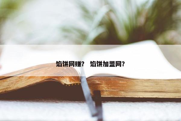 馅饼网赚？ 馅饼加盟网？