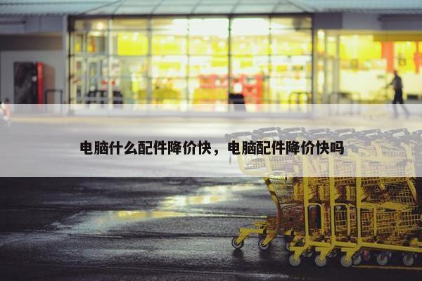 电脑什么配件降价快，电脑配件降价快吗