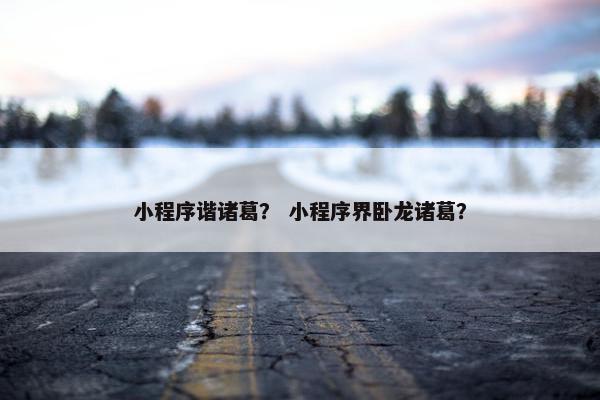 小程序谐诸葛？ 小程序界卧龙诸葛？