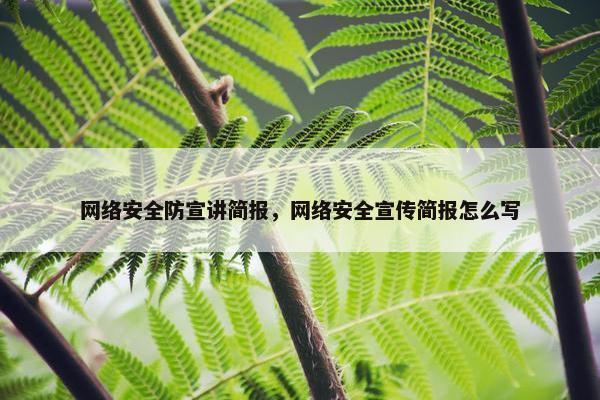 网络安全防宣讲简报，网络安全宣传简报怎么写