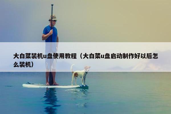 大白菜装机u盘使用教程（大白菜u盘启动制作好以后怎么装机）