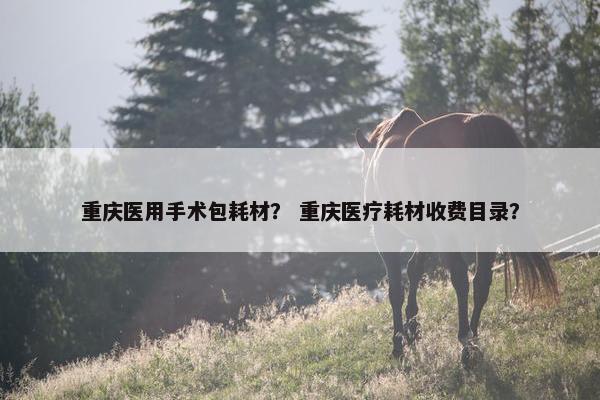 重庆医用手术包耗材? 重庆医疗耗材收费目录? 重庆医用手术包耗材? 重庆医疗耗材收费目录?