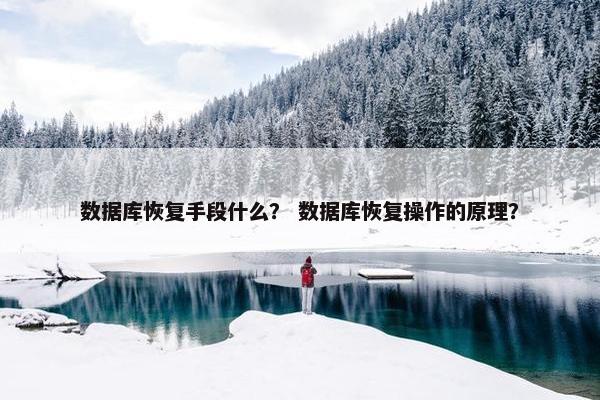 数据库恢复手段什么？ 数据库恢复操作的原理？