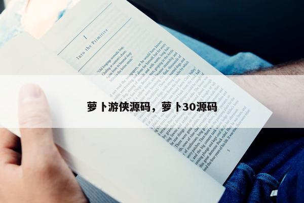 萝卜游侠源码，萝卜30源码