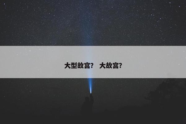 大型故宫？ 大故宫？