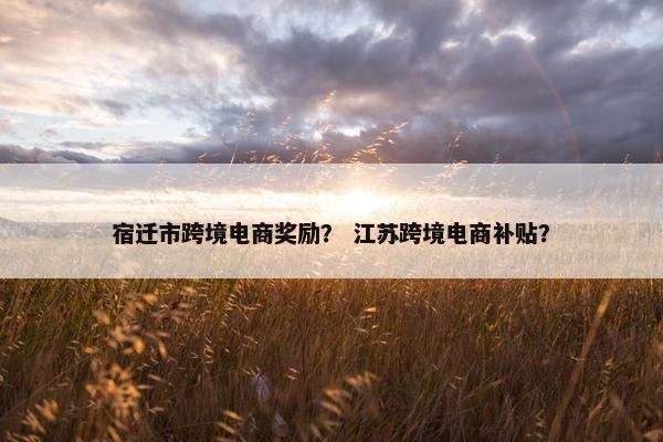 宿迁市跨境电商奖励？ 江苏跨境电商补贴？
