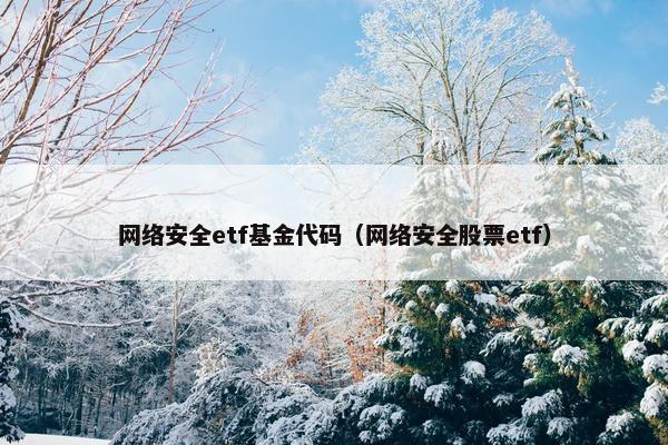 网络安全etf基金代码（网络安全股票etf）