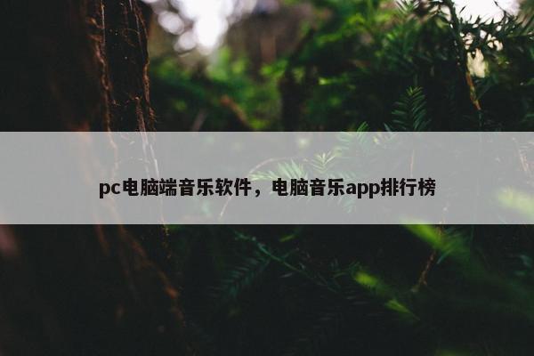 pc电脑端音乐软件，电脑音乐app排行榜