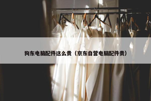 狗东电脑配件这么贵（京东自营电脑配件贵）