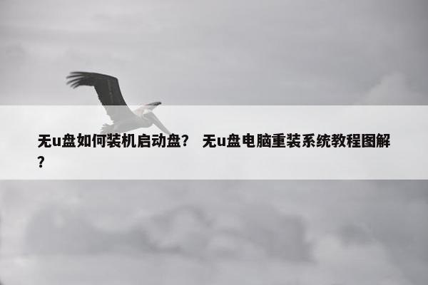 无u盘如何装机启动盘？ 无u盘电脑重装系统教程图解？
