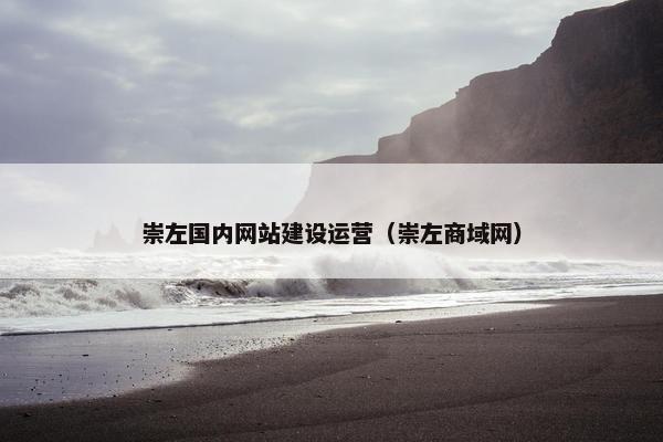 崇左国内网站建设运营（崇左商域网）