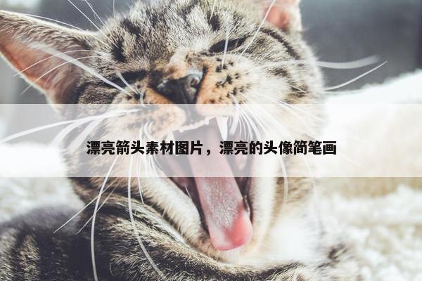 漂亮箭头素材图片，漂亮的头像简笔画