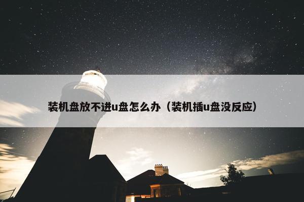 装机盘放不进u盘怎么办（装机插u盘没反应）