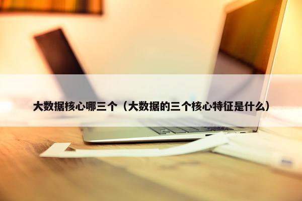 大数据核心哪三个（大数据的三个核心特征是什么）